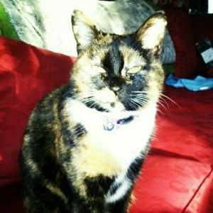 Meet your Posher, Natasha